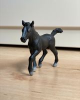 Schleich Pferd 13294 schwarzes Lipizzaner Fohlen Kreis Ostholstein - Heiligenhafen  Vorschau