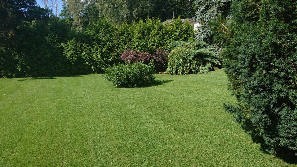 TerasseBau und ZaunBau und andere Dienstleistungen in Garten. in Berlin