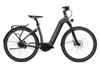 Flyer e-bike Gotour6 5.40 - L - REDUZIERT - 65Nm - 625Wh - NEU - qwe Köln - Braunsfeld Vorschau