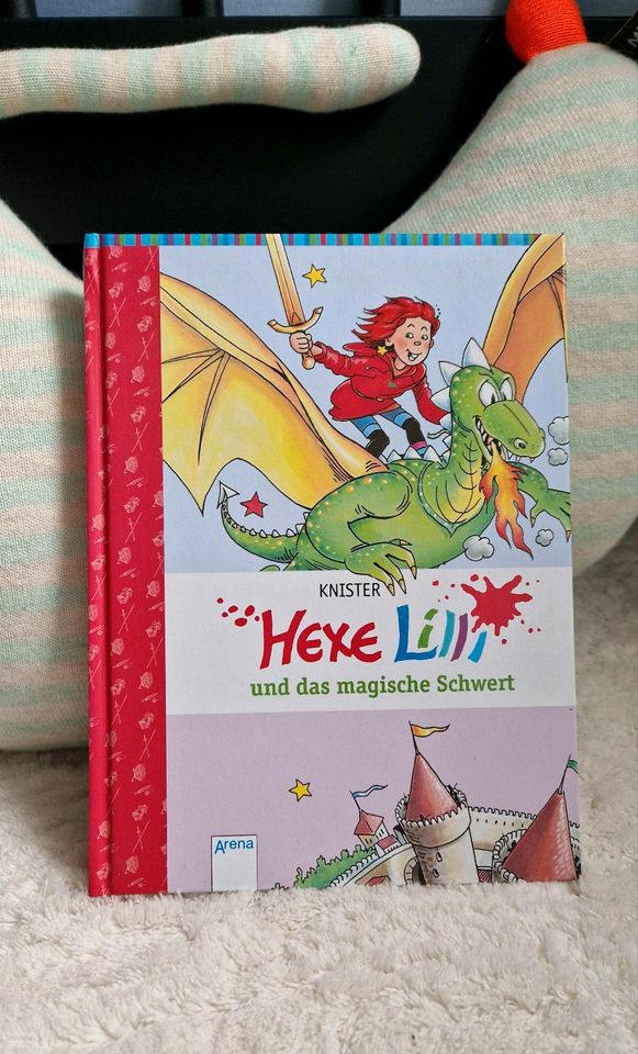 HEXE LILLI 2x ❤️ das magische Schwert + Buch des Drachen Bücher in Mauritz