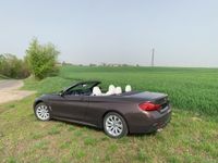 BMW 420i Cabrio M Sport, wenig km Brandenburg - Prenzlau Vorschau