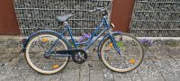 Fahrrad blau Damen 26 Zoll Rheinland-Pfalz - Weinsheim (Kr Bad Kreuznach) Vorschau