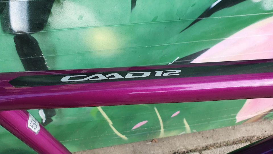 CANNONDALE CAAD12 Dura Ace, Purple metallic, RH54 in Bremen