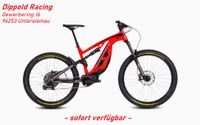 DUCATI THOK E-BIKE E-MTB MIG-S MY2023 / sofort verfügbar in L Bayern - Untersiemau Vorschau