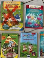 Kinderbücher Silbengeschichten Fußball Meerjungfrau Leselöwe Find Duisburg - Rumeln-Kaldenhausen Vorschau