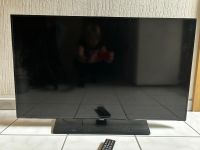 Samsung TV / Fernseher 40 Zoll Bayern - Zirndorf Vorschau