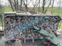 Brennholz 1m 3 Raummeter Thüringen - Neustadt an der Orla Vorschau
