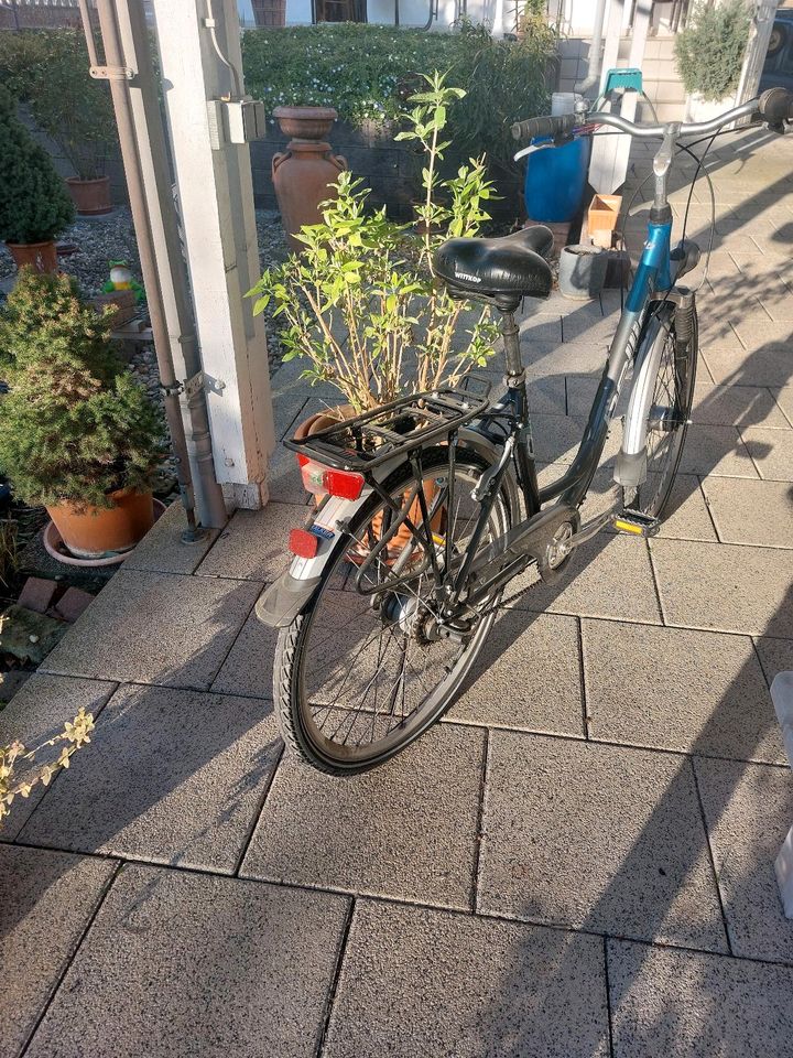 Damen Fahrrad 26 Zoll in Mutterstadt