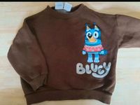 Bluey pullover zara Niedersachsen - Achim Vorschau