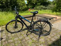 Nixe Montpellier Trekking Fahrrad mit Sitzpolsterung Köln - Nippes Vorschau