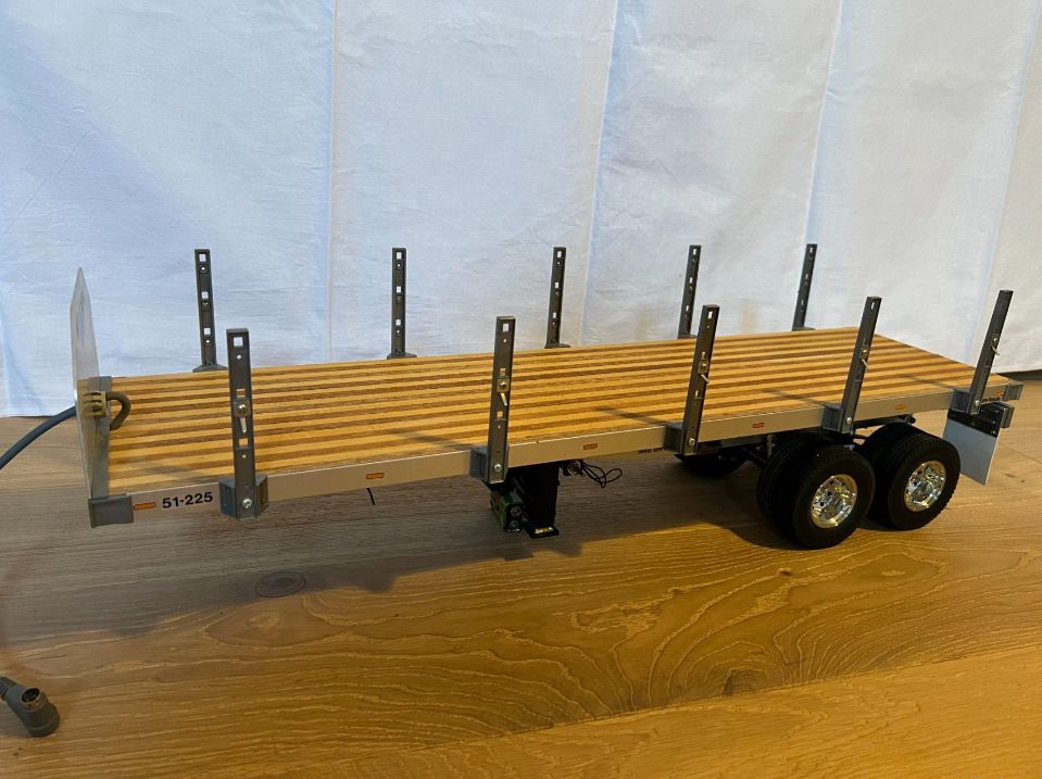 Tamia RC Truck 1:14 in Litzendorf