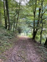 Fischerweiher Trulben/Pirmasens Hilstbach Rheinland-Pfalz - Hilst Vorschau