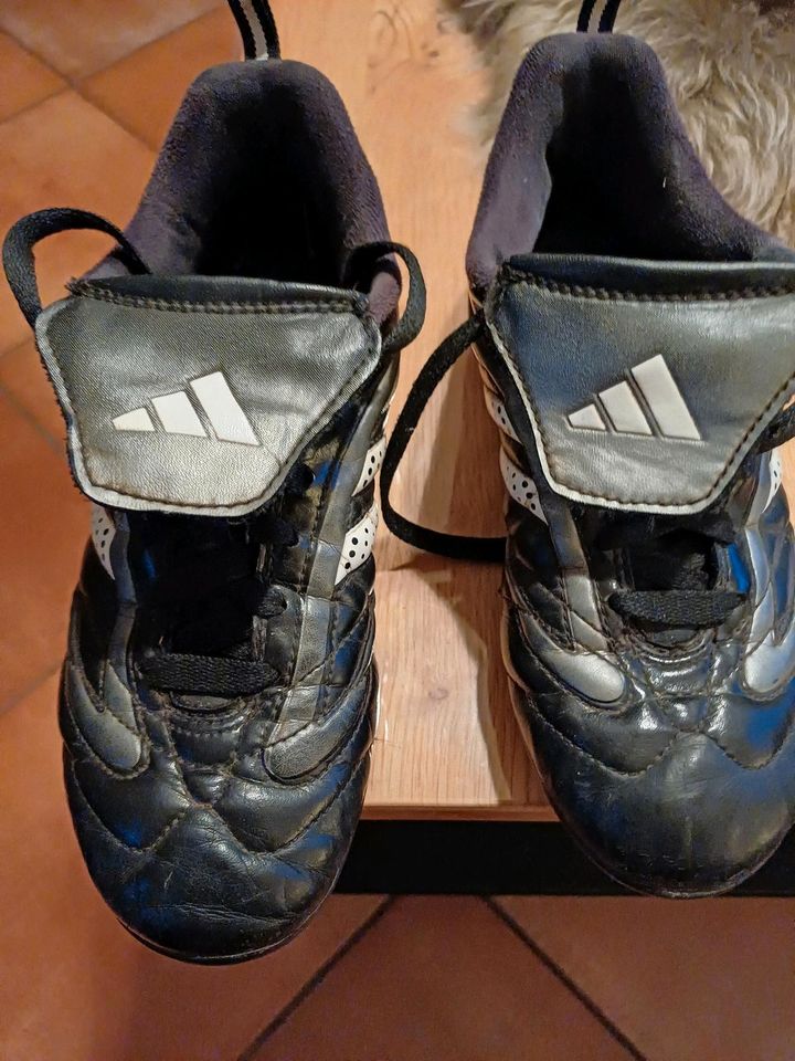 Adidas Fussballschuhe Leder in Emsbüren