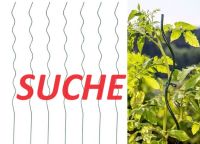 Tomatenstäbe Tomatenspirale Rankhilfe gesucht Baden-Württemberg - Renningen Vorschau