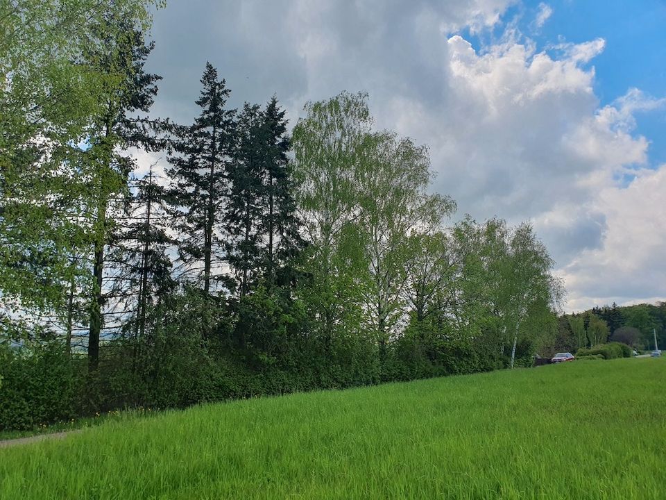 Grundstück mit Hanglage und atemberaubendem Weitblick in Wetterzeube