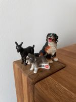 Schleich FarmLife •Zwergschnauzer• Zicklein • Berner Sennenhund Hessen - Friedberg (Hessen) Vorschau