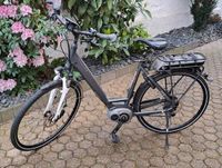 E- Bike Pegasus Solero Tiefeinsteiger Ebike Trekkingrad Rheinland-Pfalz - Polch Vorschau