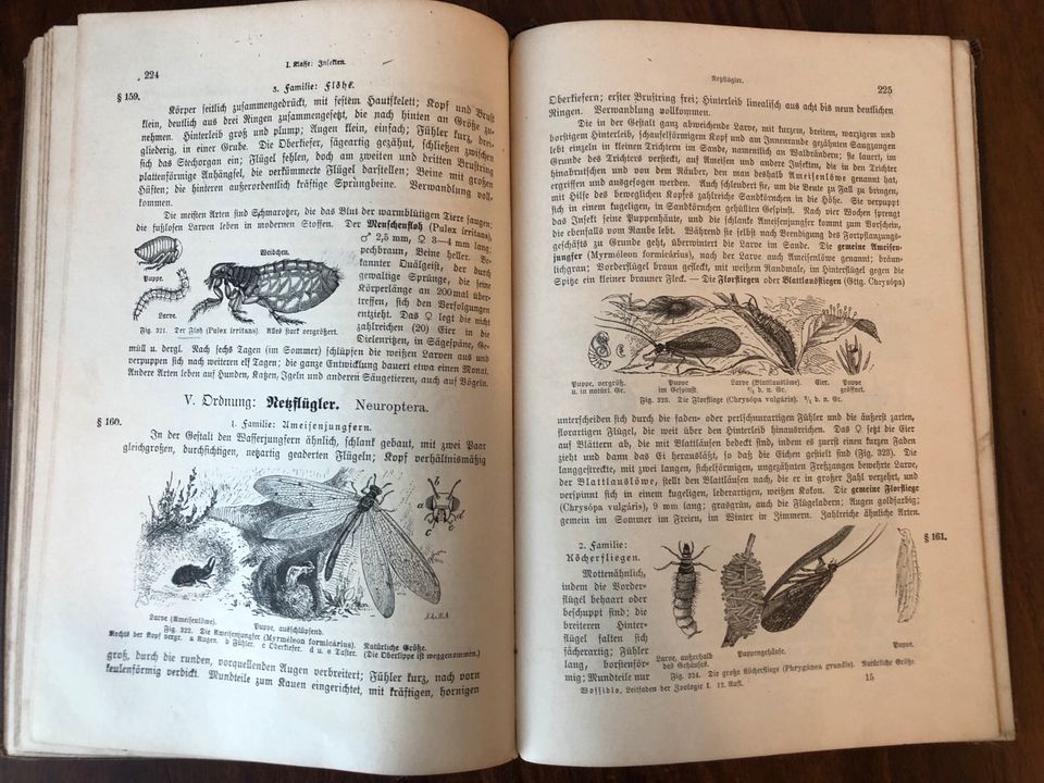 Leitfaden der Zoologie 1905 Erster Teil: die Tiere Paul Wossidlo in Eberswalde