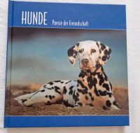 Hunde Freundschaft  Buch Rheinland-Pfalz - Rodenbach Vorschau