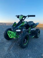 Pocket Bike Quad 800 Watt NEU Elektro Kinderquad Mini ATV 2024 Bayern - Aschaffenburg Vorschau