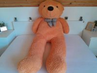 Xxl Teddy 180cm Teddybär sucht neue Freunde Brandenburg - Blankenfelde-Mahlow Vorschau