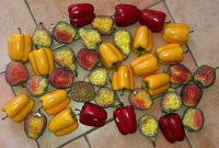 Obst und Gemüse aus Kunststoff Niedersachsen - Scheeßel Vorschau