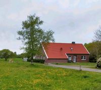 Ferienwohnung Ferienhaus Moormerland Ostfriesland Nordsee Hunde i Niedersachsen - Moormerland Vorschau