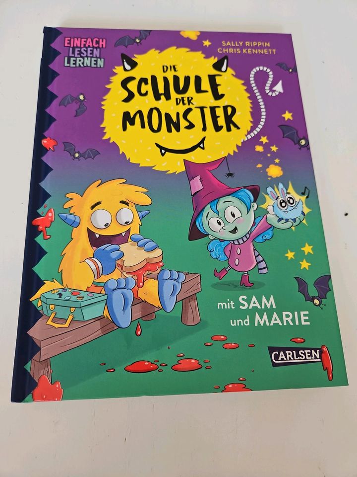 Lesen lernen  Schule der Monster Buch in Hof (Saale)