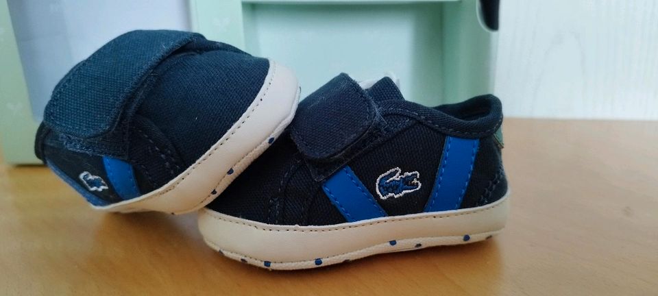 Lacoste ® Größe 16 Baby Schuhe Geschenk Erstausstattung Geburt in Ibbenbüren