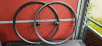 BMC Laufradsatz LRS 28" Gravel  Steckachse VR 100x12 HR142x12 NEU Bayern - Regensburg Vorschau