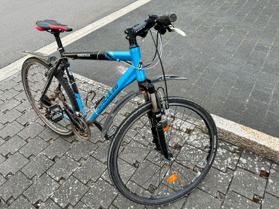 Fahrrad Herren in Landau in der Pfalz