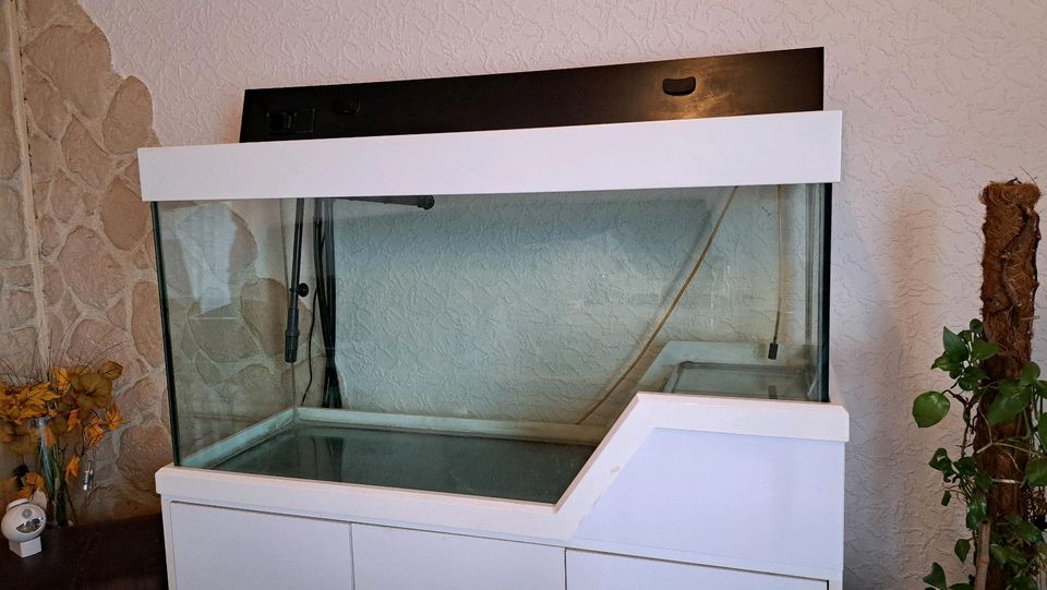 260 l Aquqrium....komplett mit Unterschrank und Eheim Pumpe in Aachen