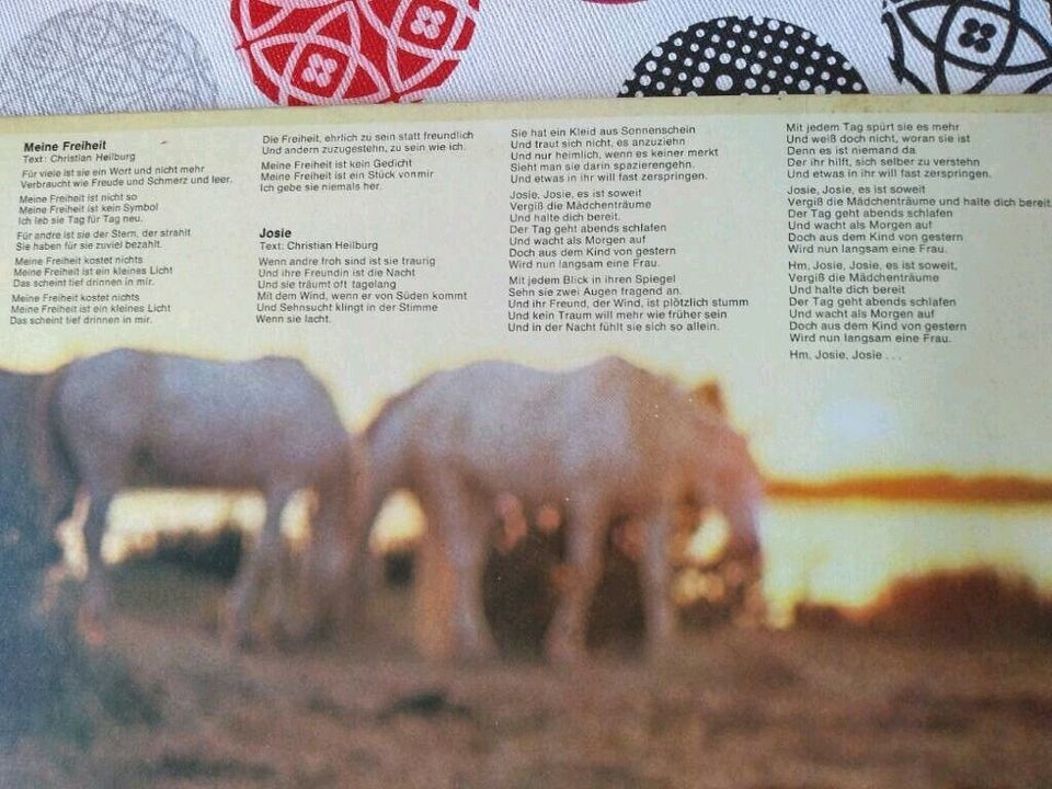 Peter Maffay meine Freiheit LP, aus1975 Schallplatte in Weißenburg in Bayern