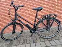 Fahrrad GIANT Schleswig-Holstein - Hemdingen Vorschau