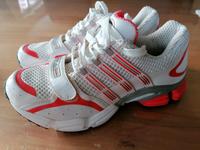 Adidas Sample Bayern - Eggolsheim Vorschau