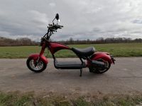 Neuer stylischer Elektro-Motorroller  matt-rot Niedersachsen - Salzgitter Vorschau