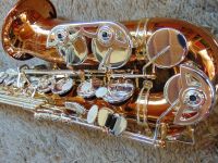 Alt-Saxophon, Expression XP3 Master, NEU, Bluespeter1 Nordrhein-Westfalen - Ladbergen Vorschau