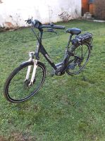 E-Bike Pegasus Solero E8 Niedersachsen - Hohne Vorschau