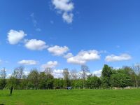 Offenstall Platz frei Nordrhein-Westfalen - Haltern am See Vorschau