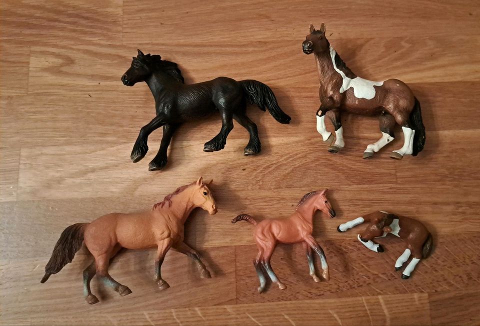 5 Pferde Figuren u.a Schleich in Gadebusch