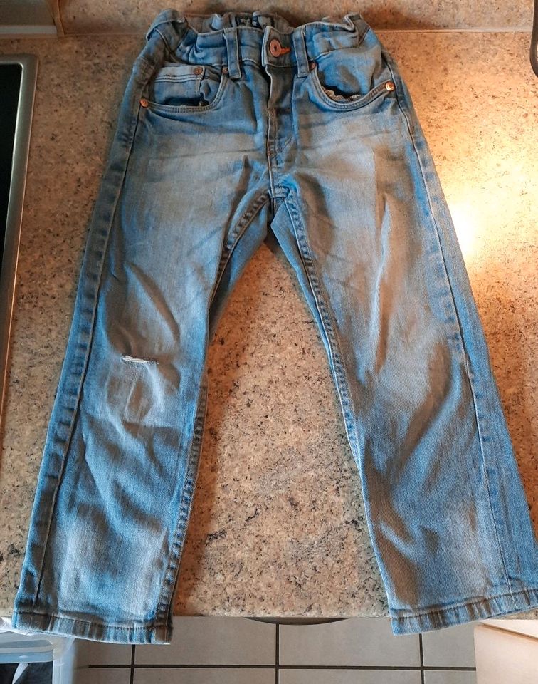 Palomino Jeans Gr.110 in Apen