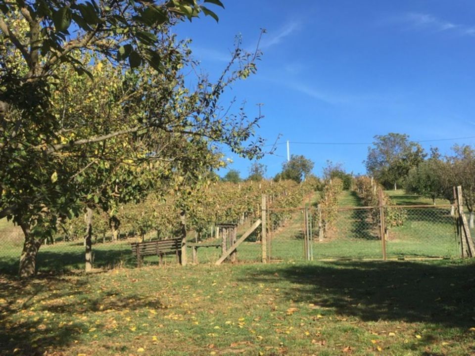 Ungarn: Haus am Balaton (Plattensee) bei Balatonboglár, möbliert in Kämpfelbach