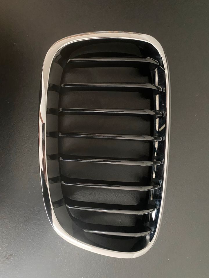 BMW Niere Gitter Grill F20 F21 in Schotten