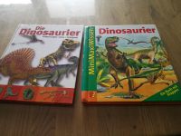 Buch "Dinosaurier" Baden-Württemberg - Höpfingen Vorschau