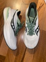 Saucony Triumph 21 Niedersachsen - Oldenburg Vorschau