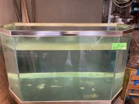 Massives Aquarium UNIKAT 350 Liter Baden-Württemberg - Bad Mergentheim Vorschau