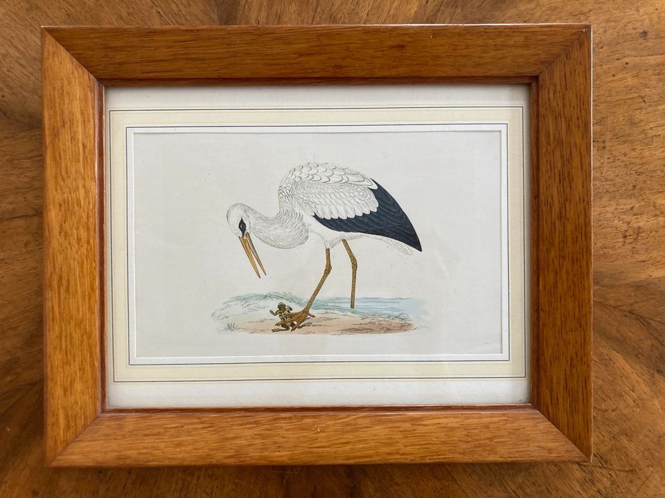 Antikes Bild Kunst Klapperstorch Storch mit Frosch Vintage in München