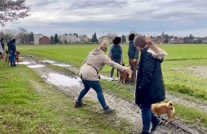 Wiese/ Hundeplatz/ Garten / Freifläche in Datteln