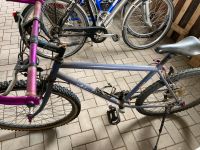 Fahrrad Mountainbike 21 Gänge 26 Zoll Bayern - Retzstadt Vorschau