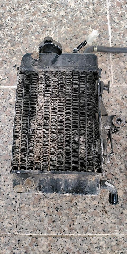 Honda XL600V Transalp PD06 87-93, Kühler mit Lüfter u Thermostat in Bonn